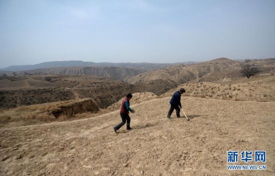 新华社照片，横山（陕西），2015年3月17日 两个人的村庄临近春耕，王明厚（右）和高生花开始在地里忙碌（3月16日摄）。