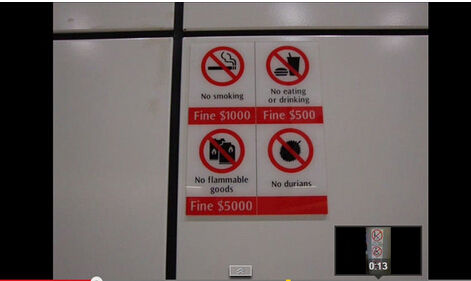 　　新加坡地铁禁带榴莲，但不罚款。(图片来源网络)