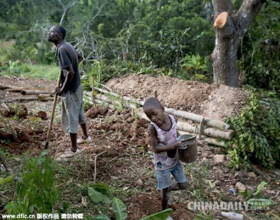 当地时间2014年10月，海地龟岛，孩子们帮助他们的父母做木炭。森林砍伐正日益成为当地一个生态问题。（图片来源：东方IC） 