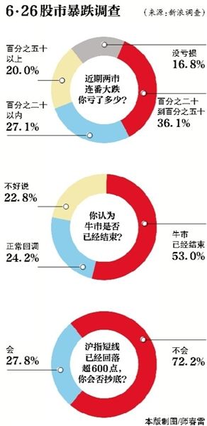 股市暴跌调查