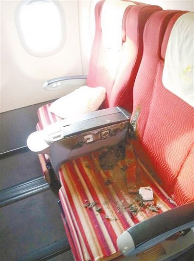 事发航班头等舱一座椅靠背处，可见一个烧破的洞。