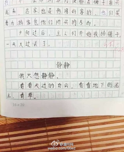 浙江6年级女生作文