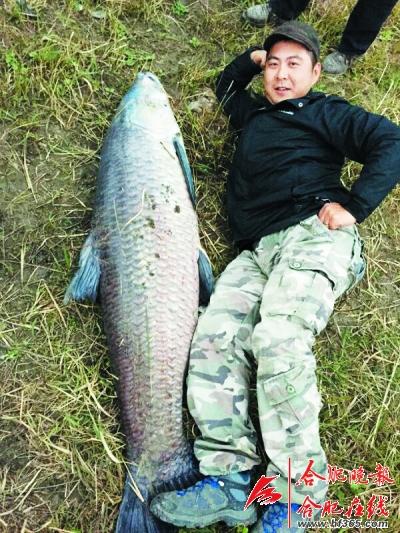合肥男子钓起近120斤大青鱼 欲制成标本留作纪念