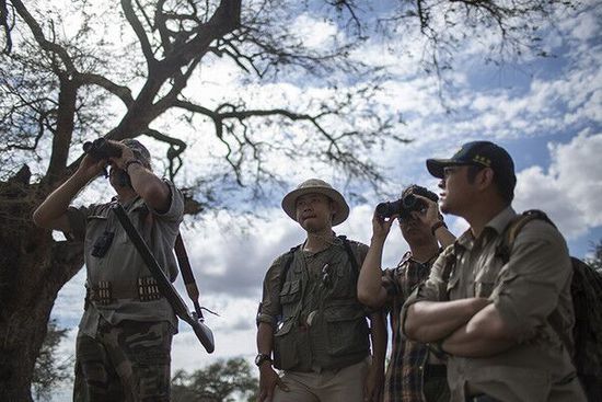 揭反盗猎行动:中国志愿者进丛林前先签生死状