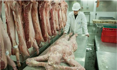 所谓的尸体，是游戏《生化危机6》出品厂商的一次线下活动道具，用猪肉制成。 图为活动现场图片。