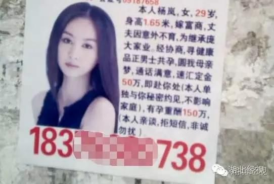 电线杆上
