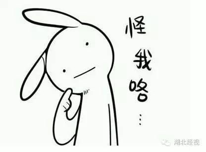 电线杆上