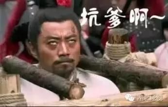 电线杆上