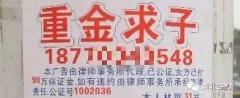 电线杆上