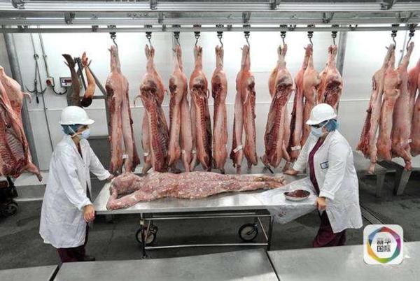 赞比亚小报就“中国向非洲卖人肉”事件道歉