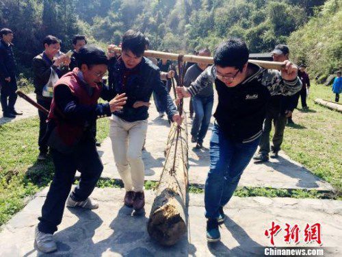 资料图：游客体验抬盘木艰难前行。