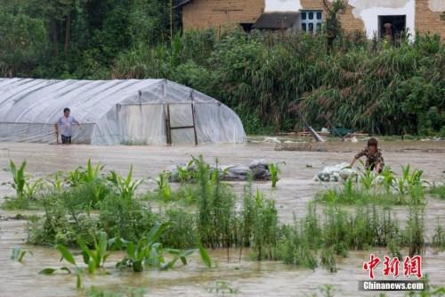 资料图：7月3日，在江西武宁县清江乡，暴雨导致山洪暴发，洪水浸没了大片农田、道路和村庄。