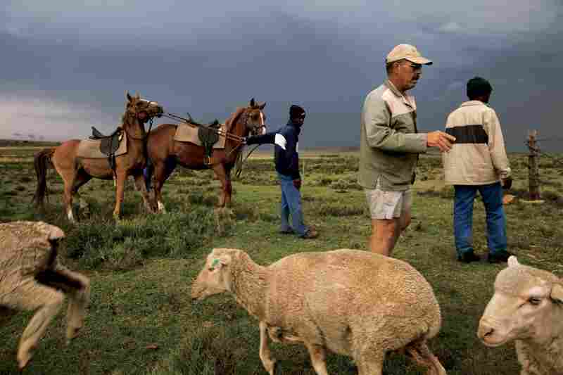 “south africa farmland”的图片搜索结果