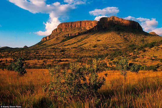 南非国家公园：动物观赏的绝佳胜地
