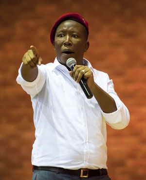 Julius Malema (File, Lisa Hnatowicz, Netwerk24)