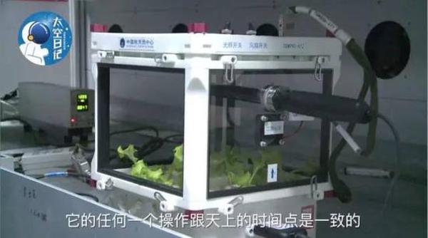 中国人在太空种菜