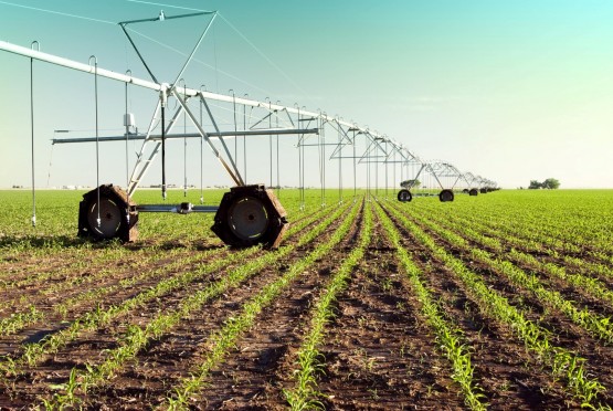 “Africa needs less oil and more farms – UN agency”的图片搜索结果