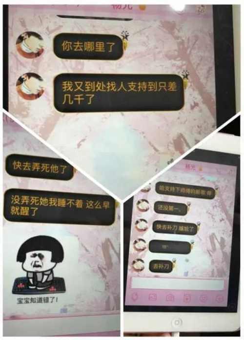 聊天中“杨光”直接要求小苏打赏。