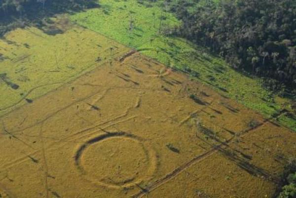 巴西雨林现巨型图案如“巨石阵”逾2000年历史