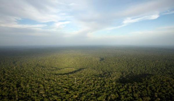 巴西雨林现巨型图案如“巨石阵” 逾2000年历史
