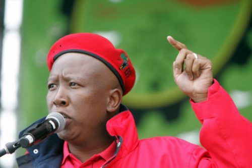“We will fight on the ground, not court, vows Malema”的图片搜索结果