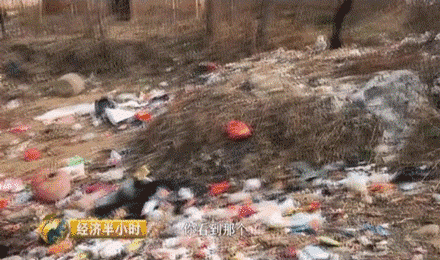 视频截图