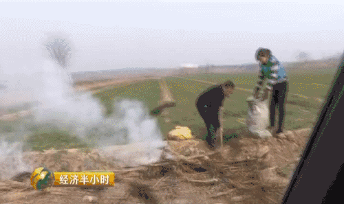 视频截图