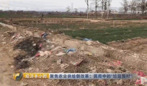 视频截图