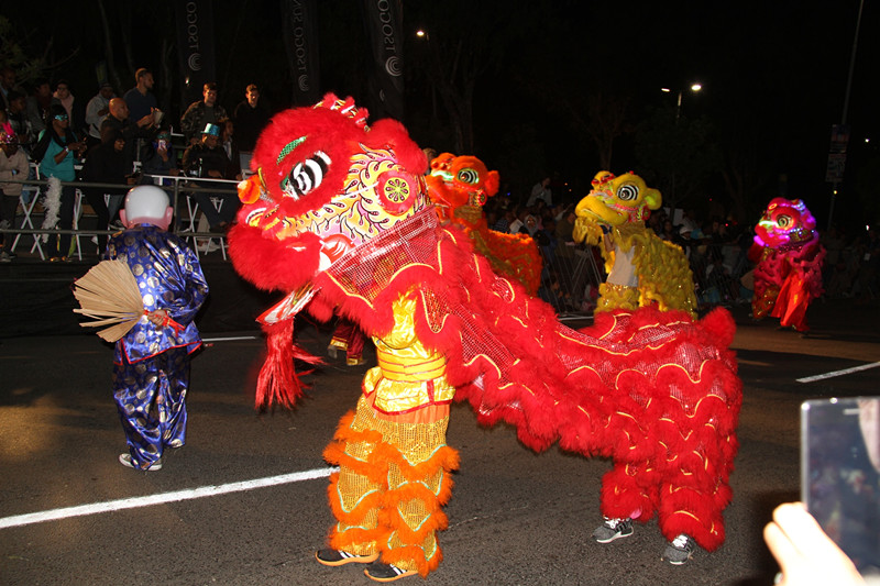 2017年3月18日晚，南非立法首都开普敦举行一年一度的狂欢节，当地华人首次参加，图为当地华人在表演舞狮。（新华社记者高原摄）