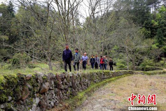 江西省修水县文物工作者日前在宁州镇范塅村发现修建于清朝康熙年间的客家河堤。　黄一魏　摄