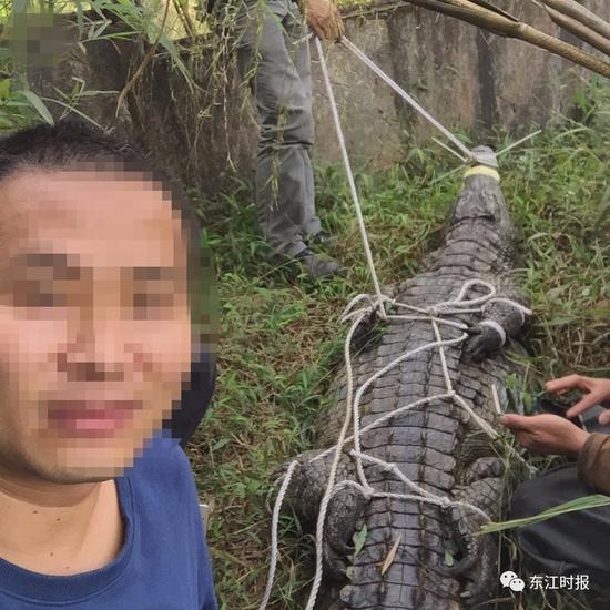 （在叶某斌手机调取的照片）
