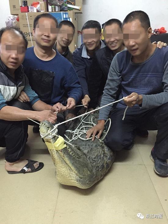 (叶某斌手机中保存的合照)