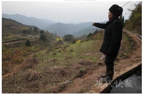 ▲对大发渠下的这块土地，对山谷里的村庄，大发叔总是看不够