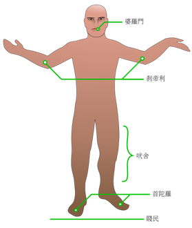 资料图：种姓制度解读