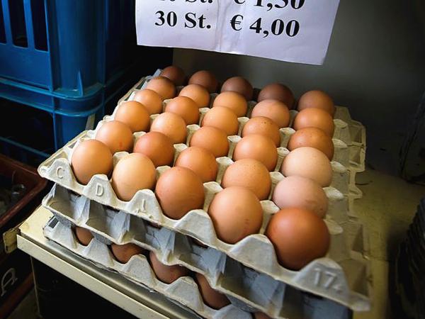 比利时北部一家食品仓库内存放的待售鸡蛋。（新华/法新）
