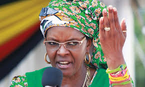 “Grace Mugabe”的图片搜索结果