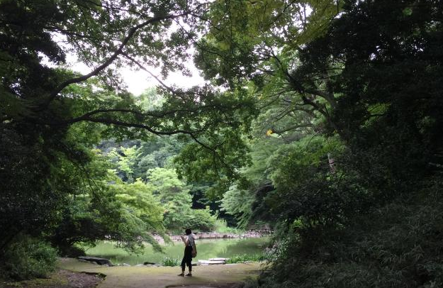 东京大学三四郎池