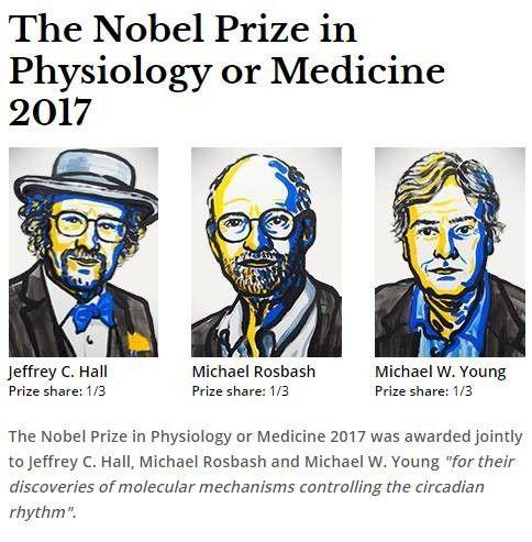 外事儿（微信ID：xjb-waishier）看到，按诺贝尔奖委员会的说法，三人获奖理由是“发现控制昼夜节律的分子机制”：