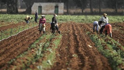  AFRA and Siyanqoba Farm Dwellers Association met over the weekend to discuss the plight of farm dwellers.