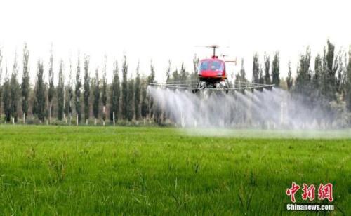 资料图：农民利用高科技产品飞机对农作物开展空中喷洒农药。提升药剂使用率的同时，减少土地药物残留，减轻土壤污染。李江帆 摄
