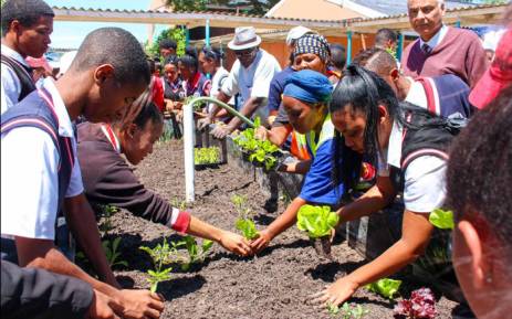 The iGardi Project at the Charleston Hill Secondary School in Paarl. Picture: Call 2 Care Facebook page.