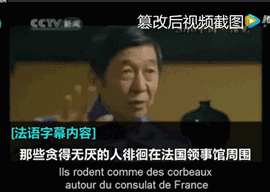 法语字幕及其中文翻译，这与实际内容完全不相符