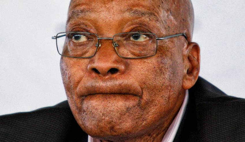 “zuma”的图片搜索结果