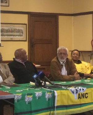 ANC stalwarts. (Tshidi Madia, News24)
