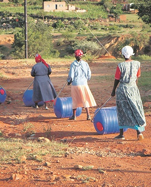 Hippo water rollers