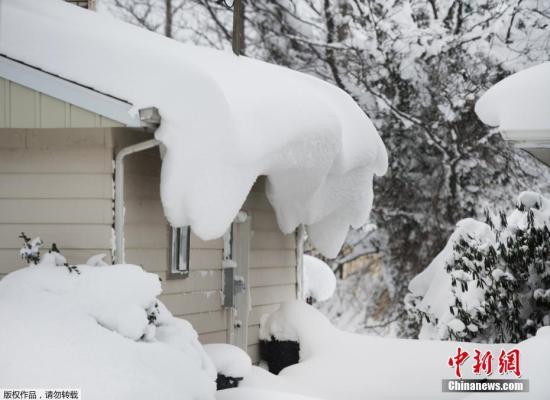 资料图：大雪袭击美国宾州，雪后房屋变成“奶油蛋糕” 。