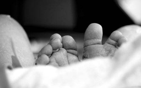 Picture: Freeimages.com