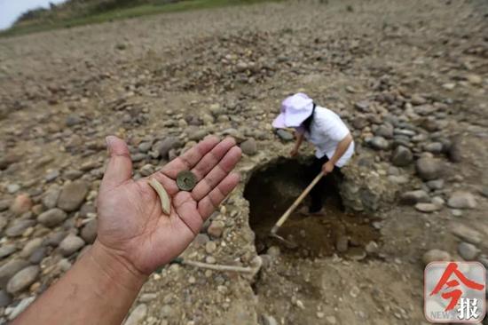 3月3日下午，象州运江古镇河滩上，一女子挖出“宝贝”。