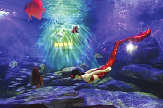 3月13日，湖南烈士公园海洋世界，陈鑫正在扮演“美人鱼”。 潇湘晨报 图