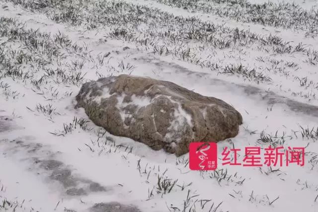 ▲雪后的静山  受访者供图